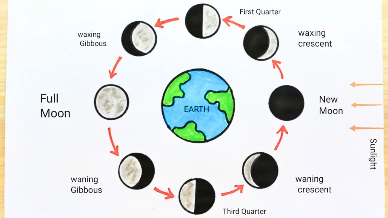 Moon Phases Drawing