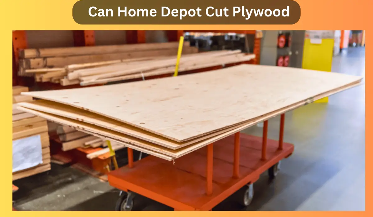 Can Home Depot Cut Plywood